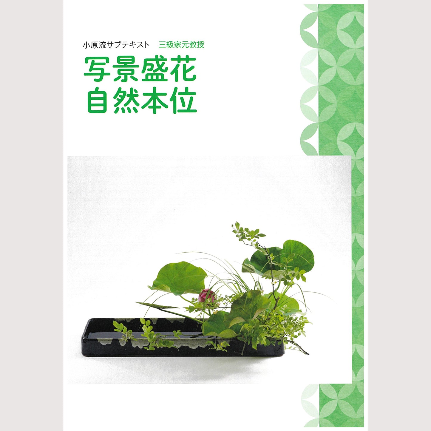 三級家元教授サブテキスト