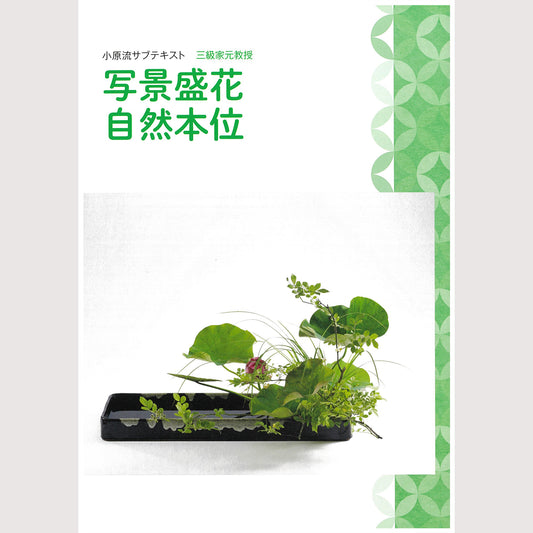 三級家元教授サブテキスト