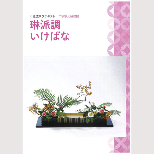 二級家元脇教授サブテキスト