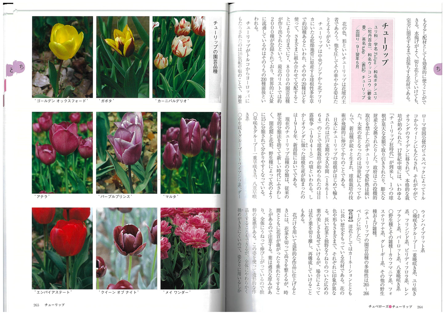 いけばな花材事典
