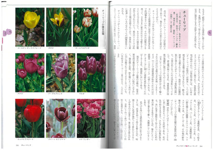 いけばな花材事典