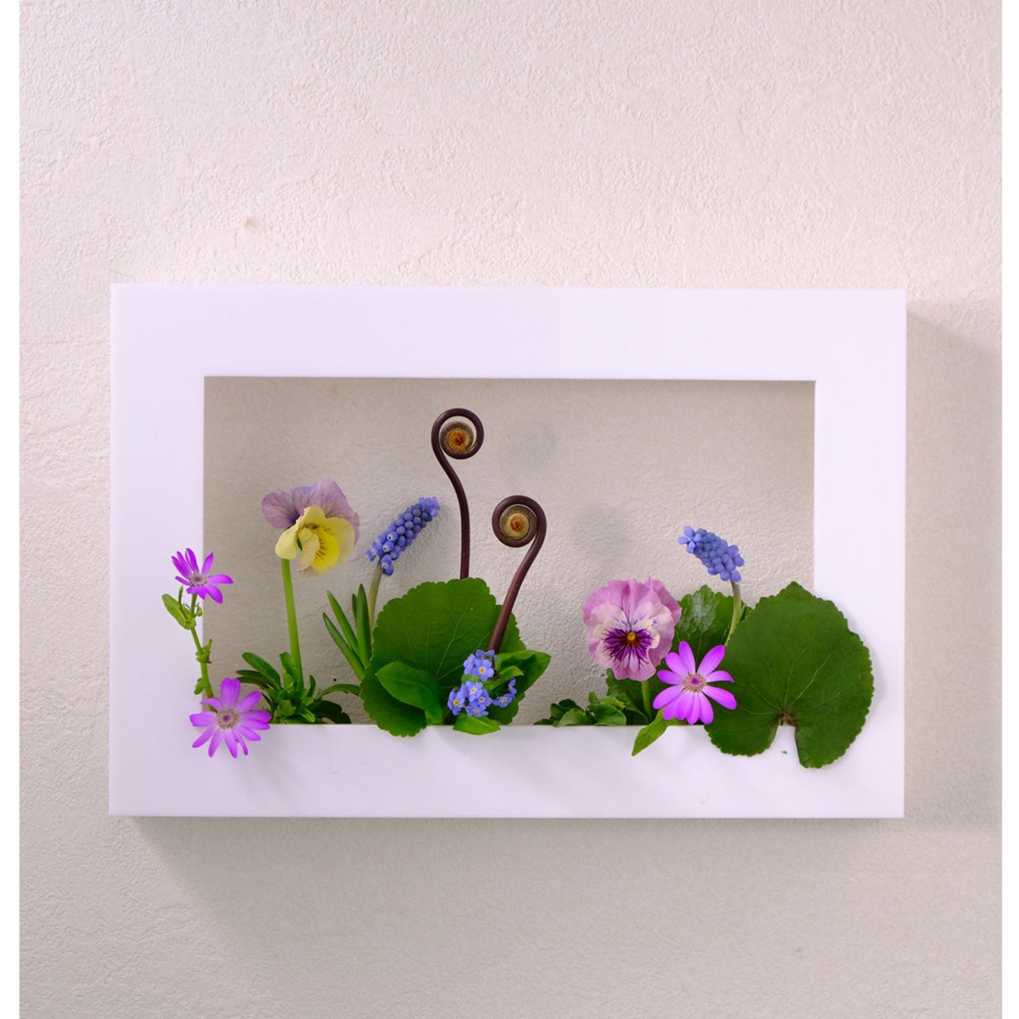 my花frame 長方形