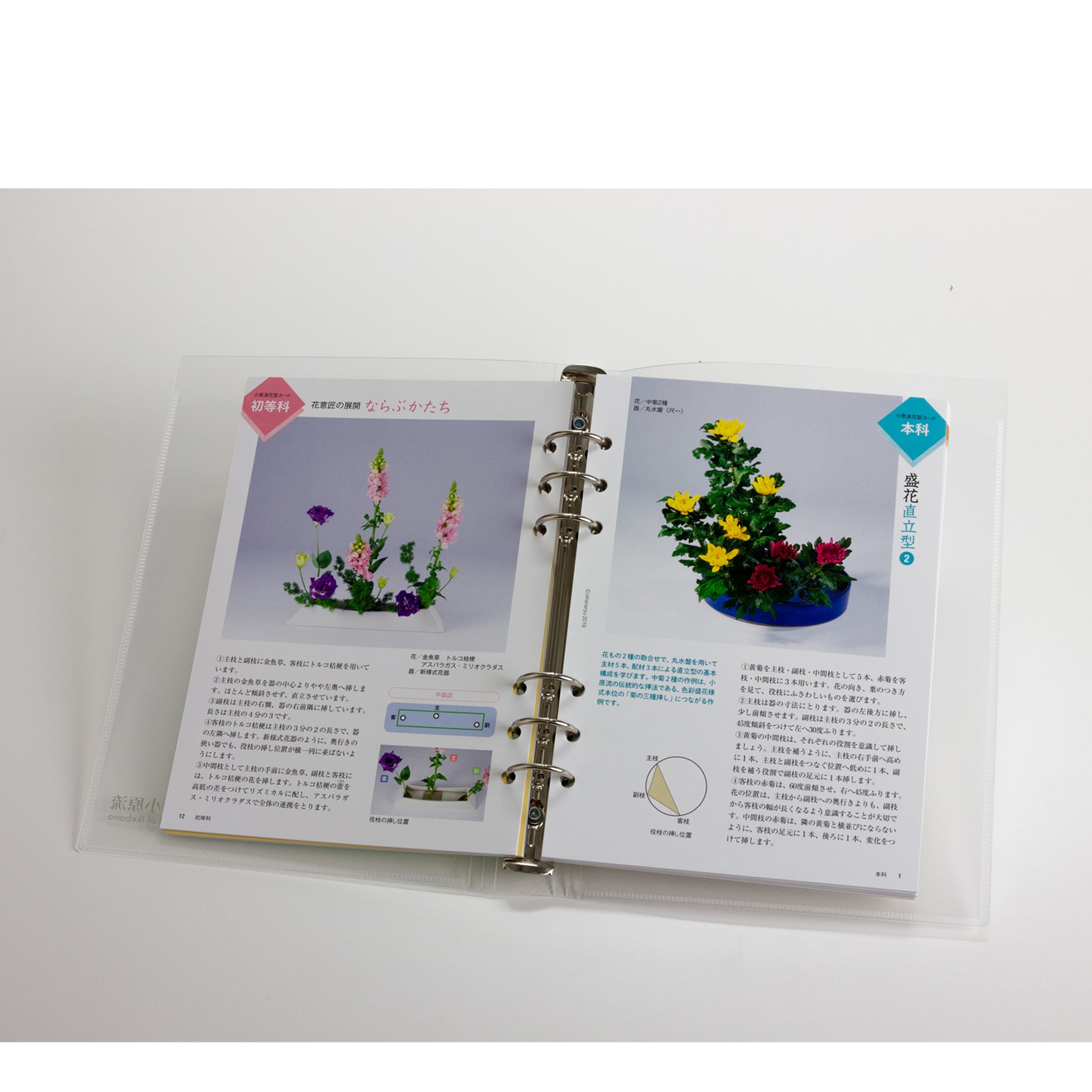 全花型カードセット（バインダー付き） – 小原流オンラインストア 「花