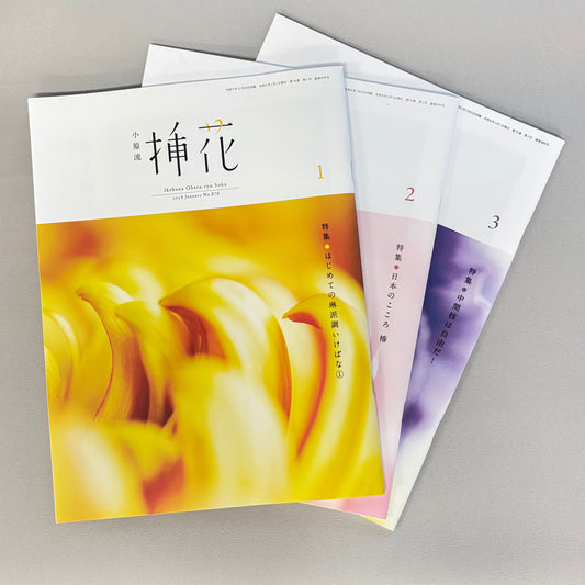 小原流挿花 2024年 バックナンバー