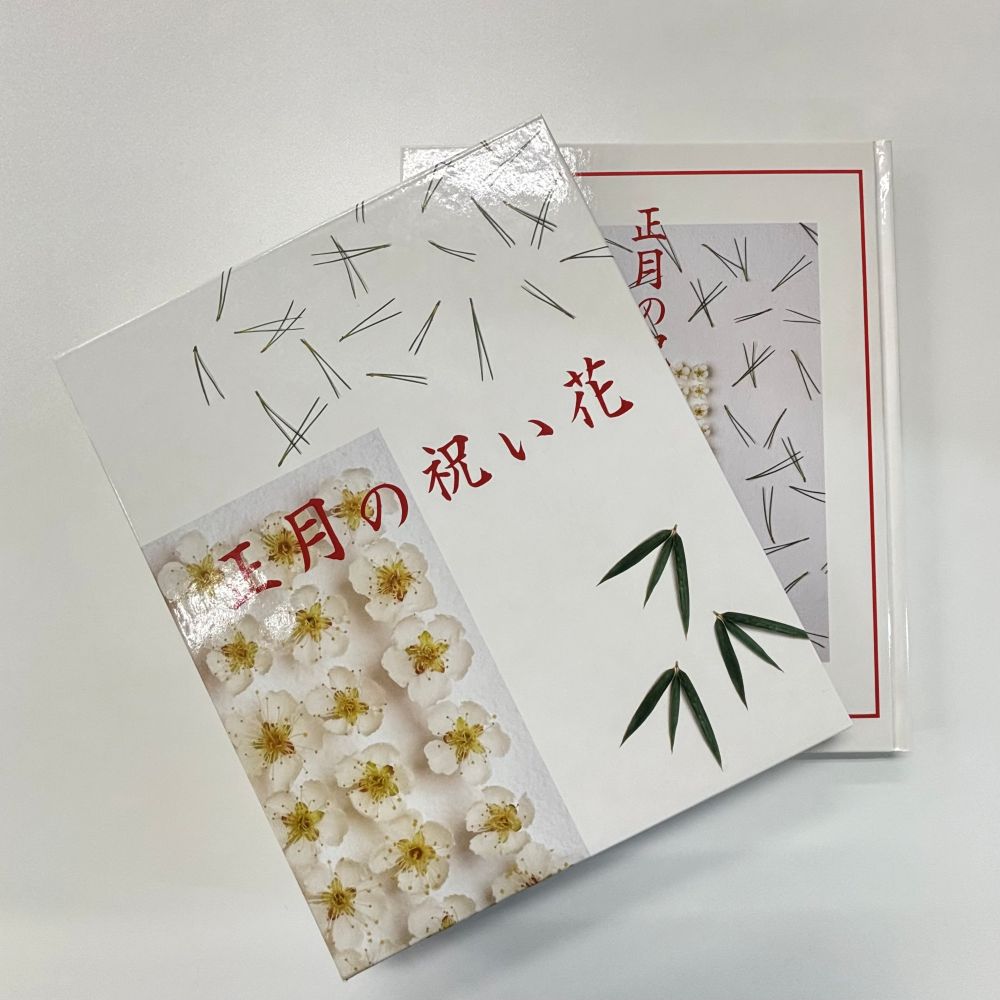 新年庆祝花卉 （折扣品）